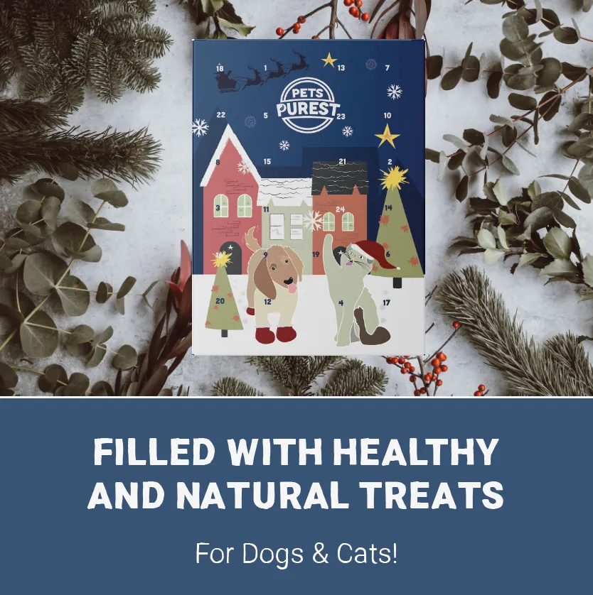 Advent Calendar for Dogs & Cats