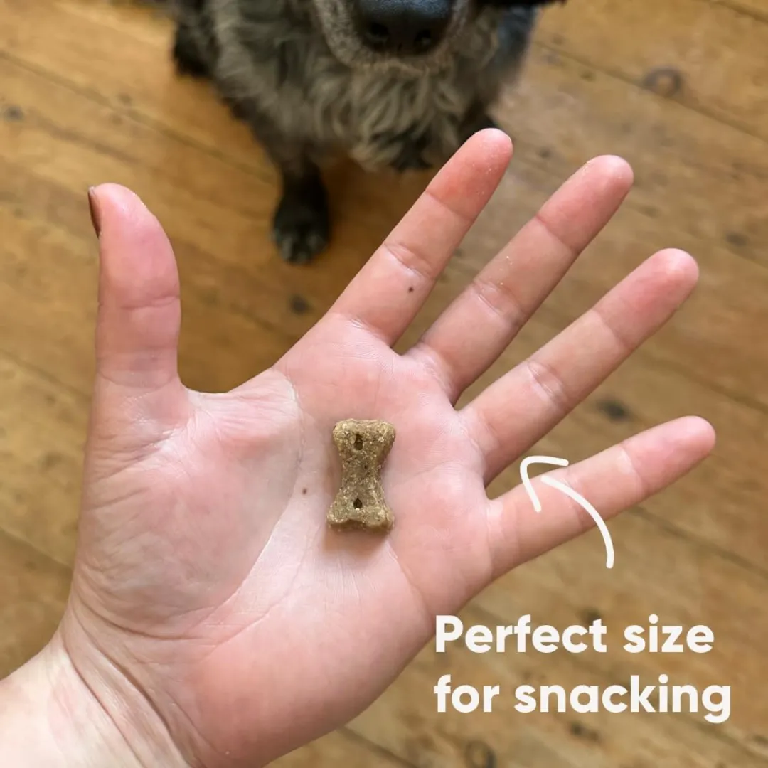 Beco Insect with Apple & Chia Seeds Dog Treats