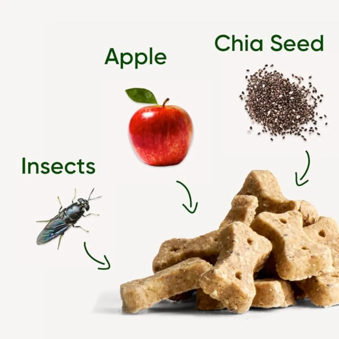 Beco Insect with Apple & Chia Seeds Dog Treats