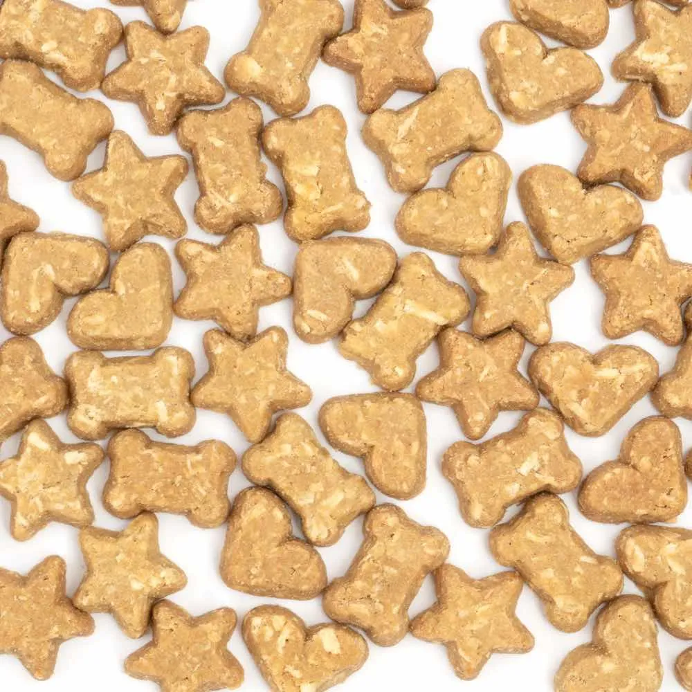 CocoTherapy Coco-Charms Organic Coconut Pumpkin Pie Training Grain-Free Dog Treats 5oz