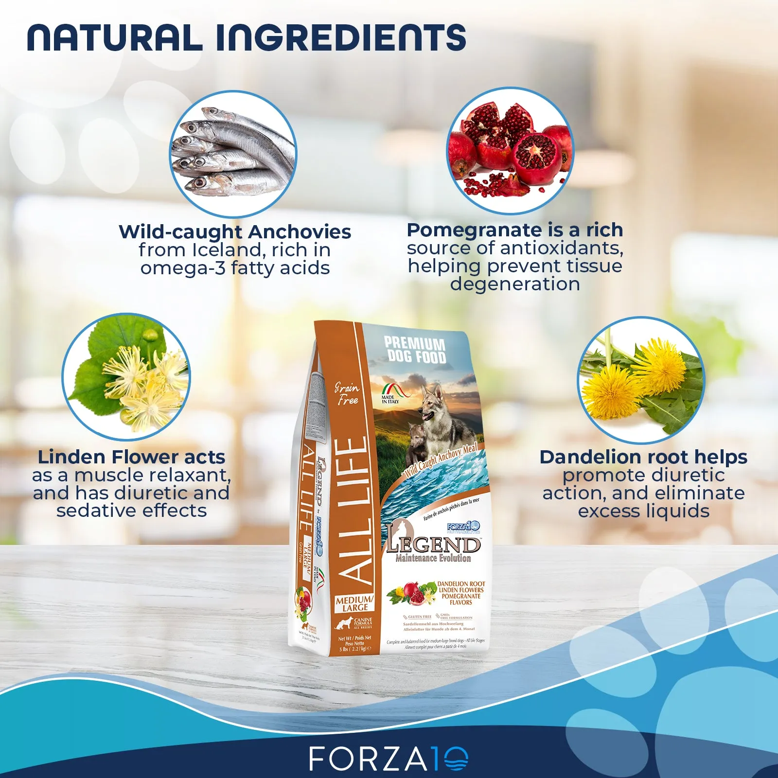 Forza10 Nutraceutic Legend All Life Medium & Large Breed Grain-Free Wild Caught Anchovy Dry Dog Food