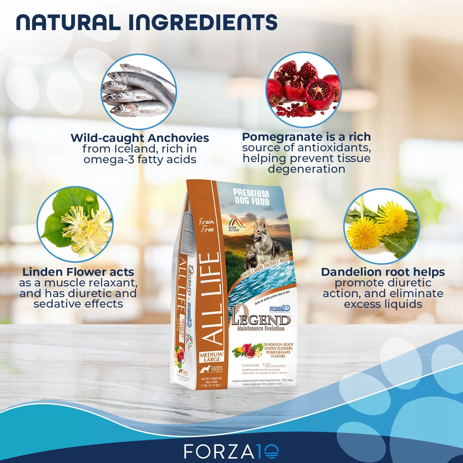 Forza10 Nutraceutic Legend All Life Medium & Large Breed Grain-Free Wild Caught Anchovy Dry Dog Food