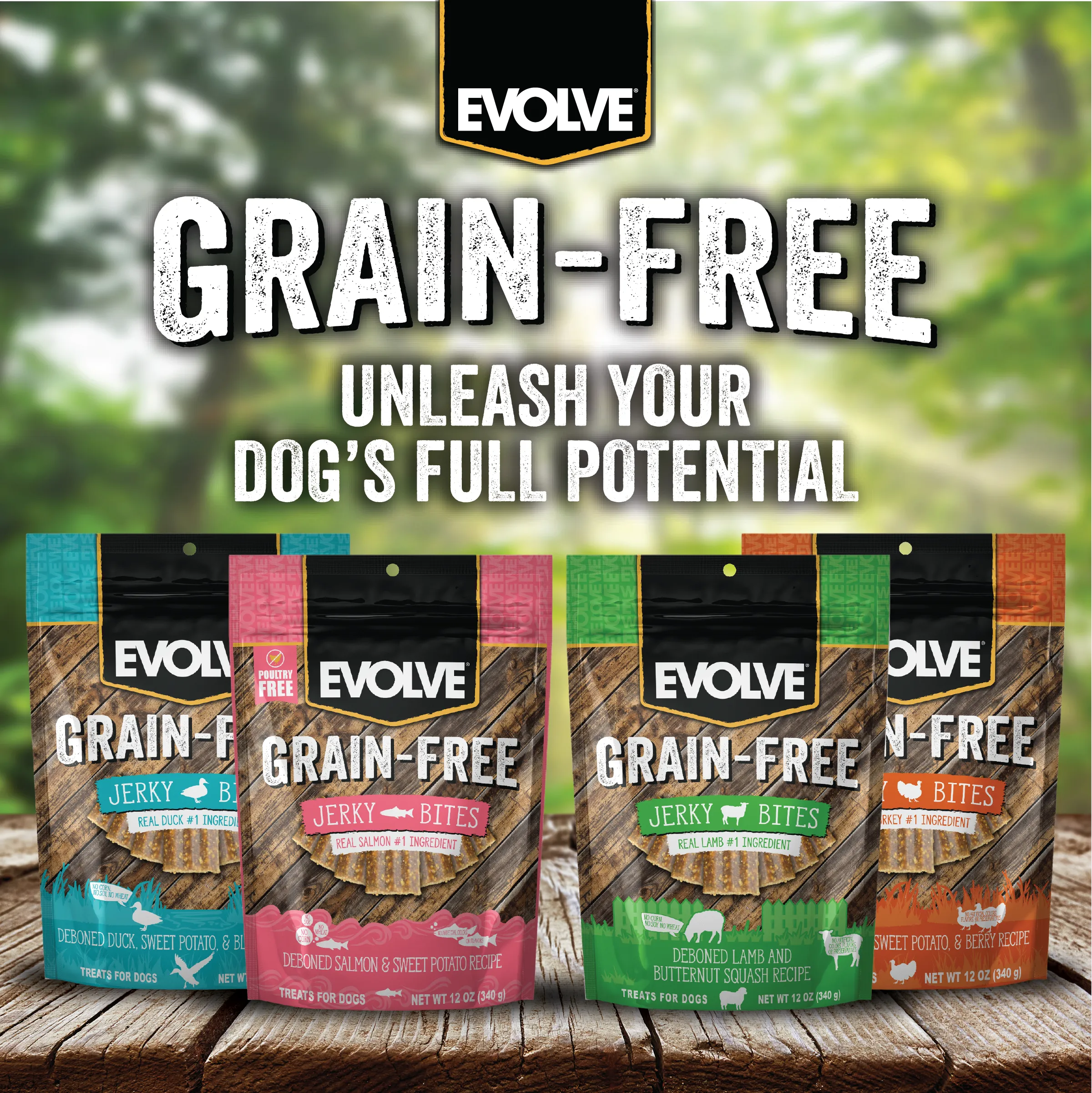 Grain Free Salmon & Sweet Potato Jerky Bites | 12 oz, 25 oz | Evolve