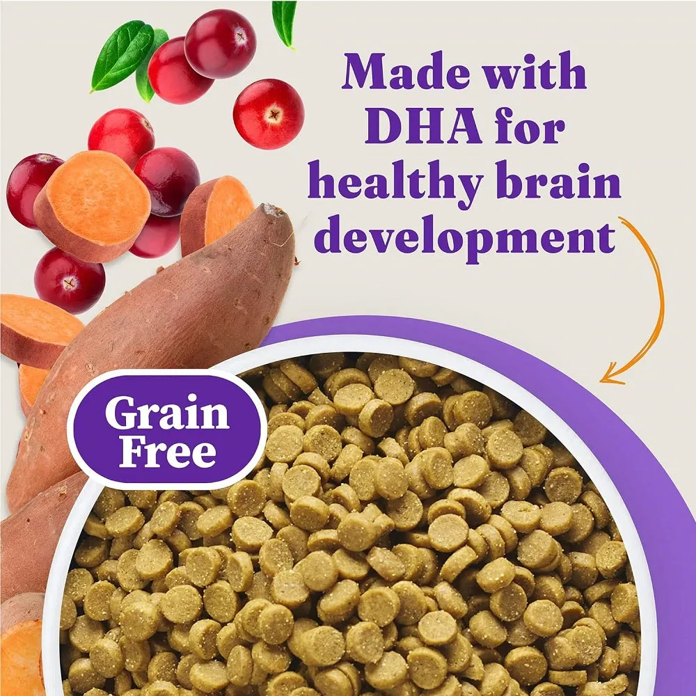 Holistic Grain Free Chicken Kitten Dry Food