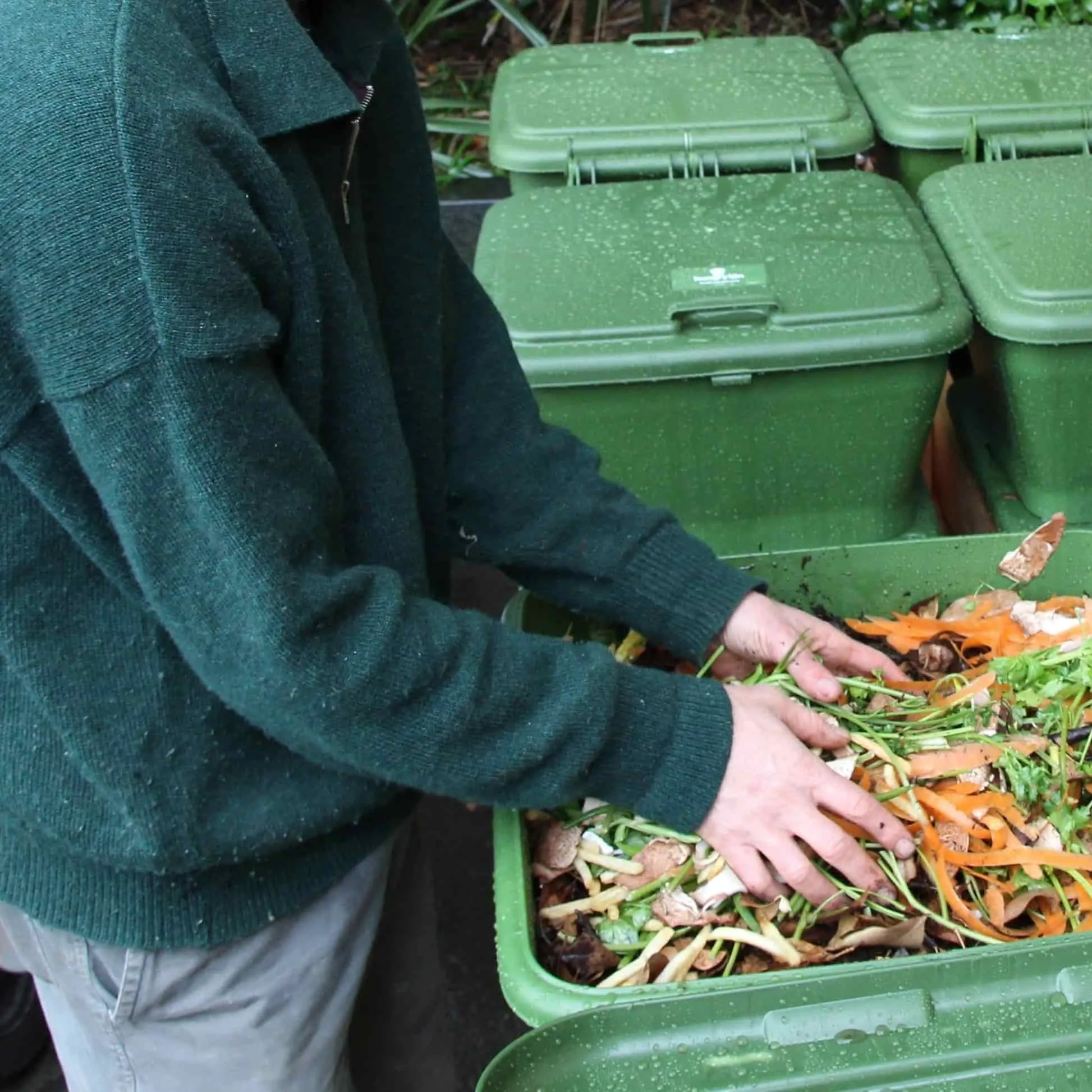 Hungry Bin