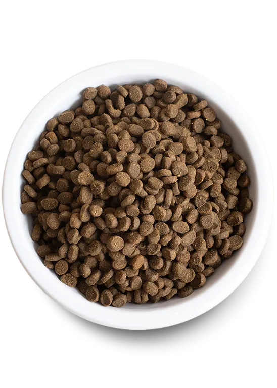 Kitten Grain-Free Dry Cat Food