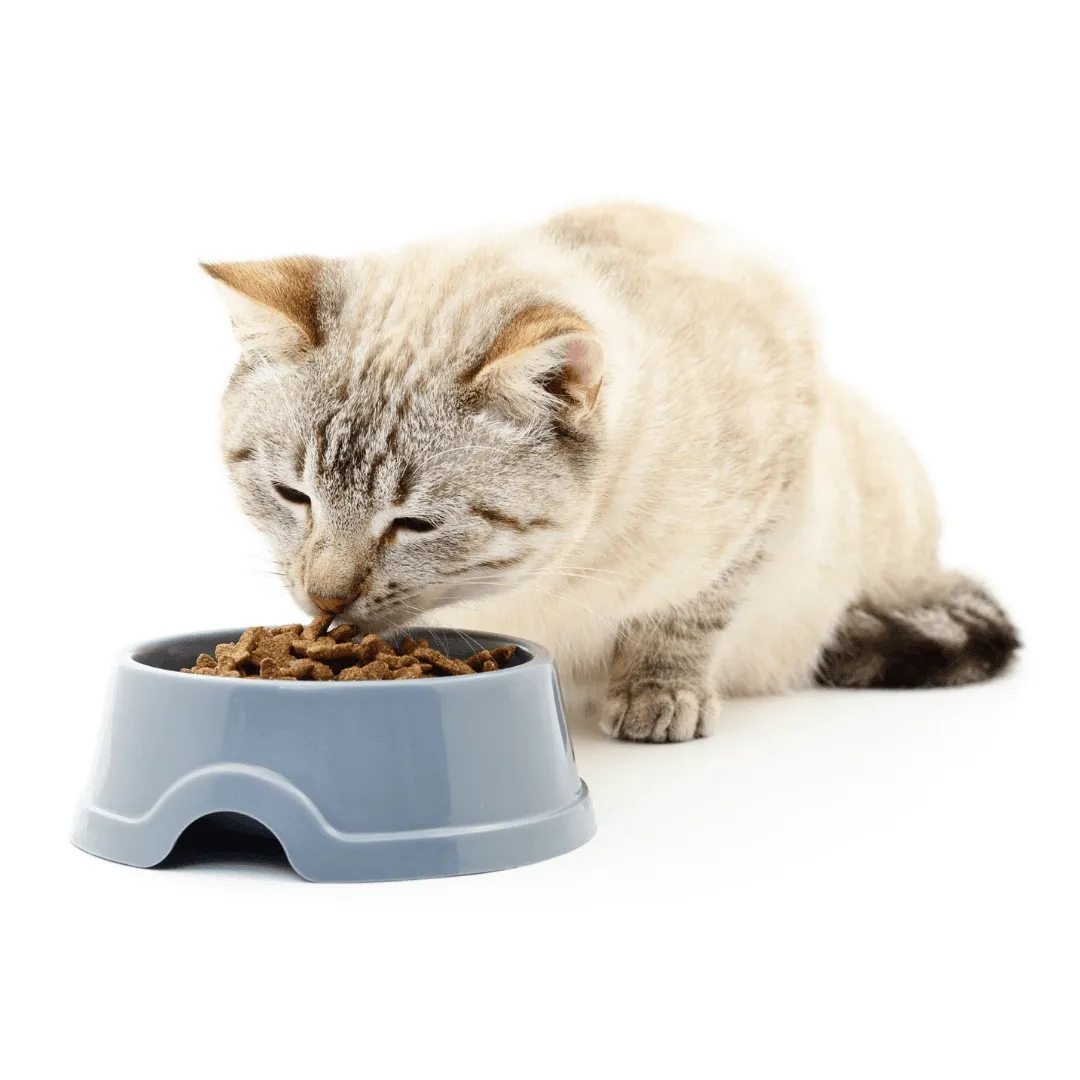 New Zealand Grain-Free Cat Food for All Life Stages (9 KG)