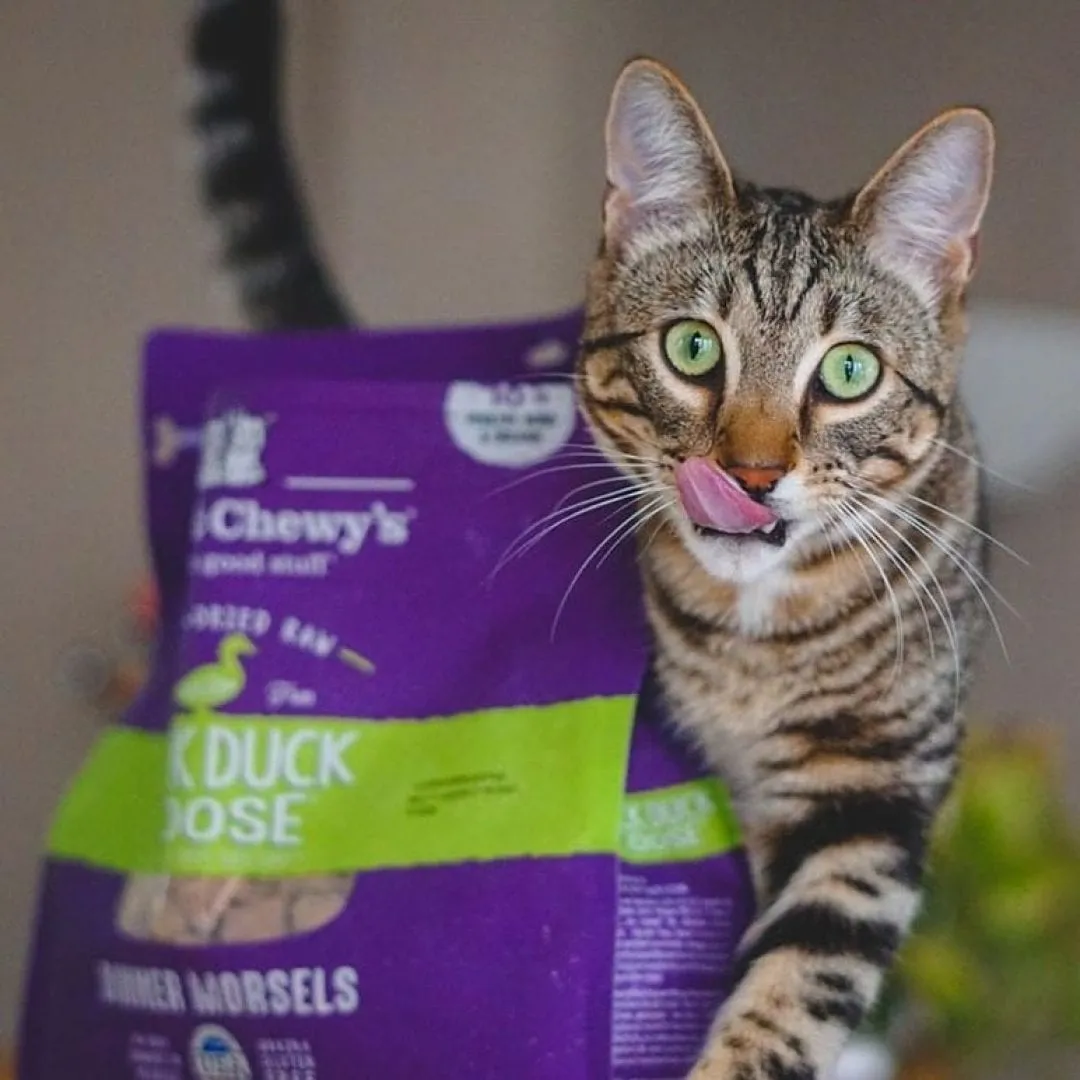 Stella & Chewy's Duck Duck Goose Dinner Freeze-Dried Cat Food