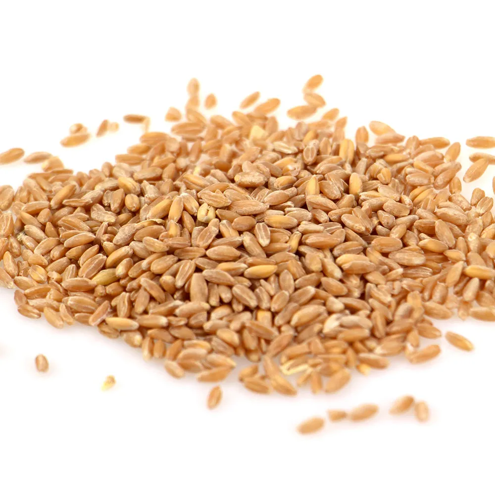 The Essential Ingredient Wholegrain Farro