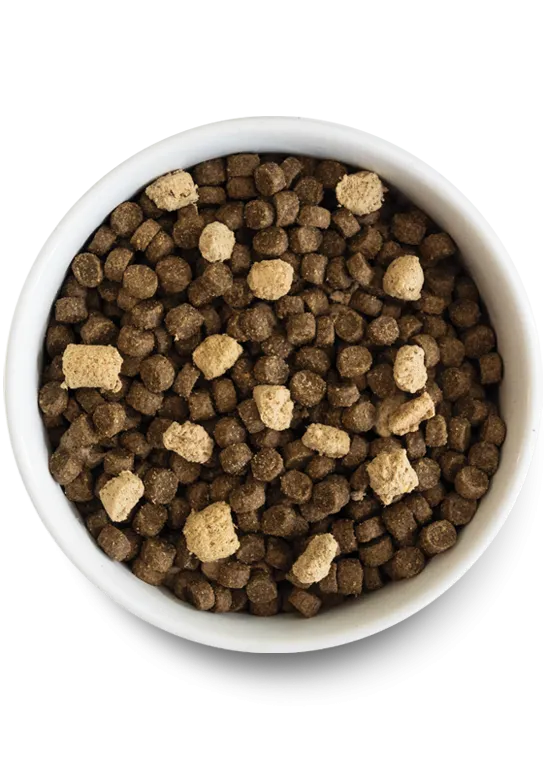 Tide & Terrain Grain-Free Rawmix for Dogs