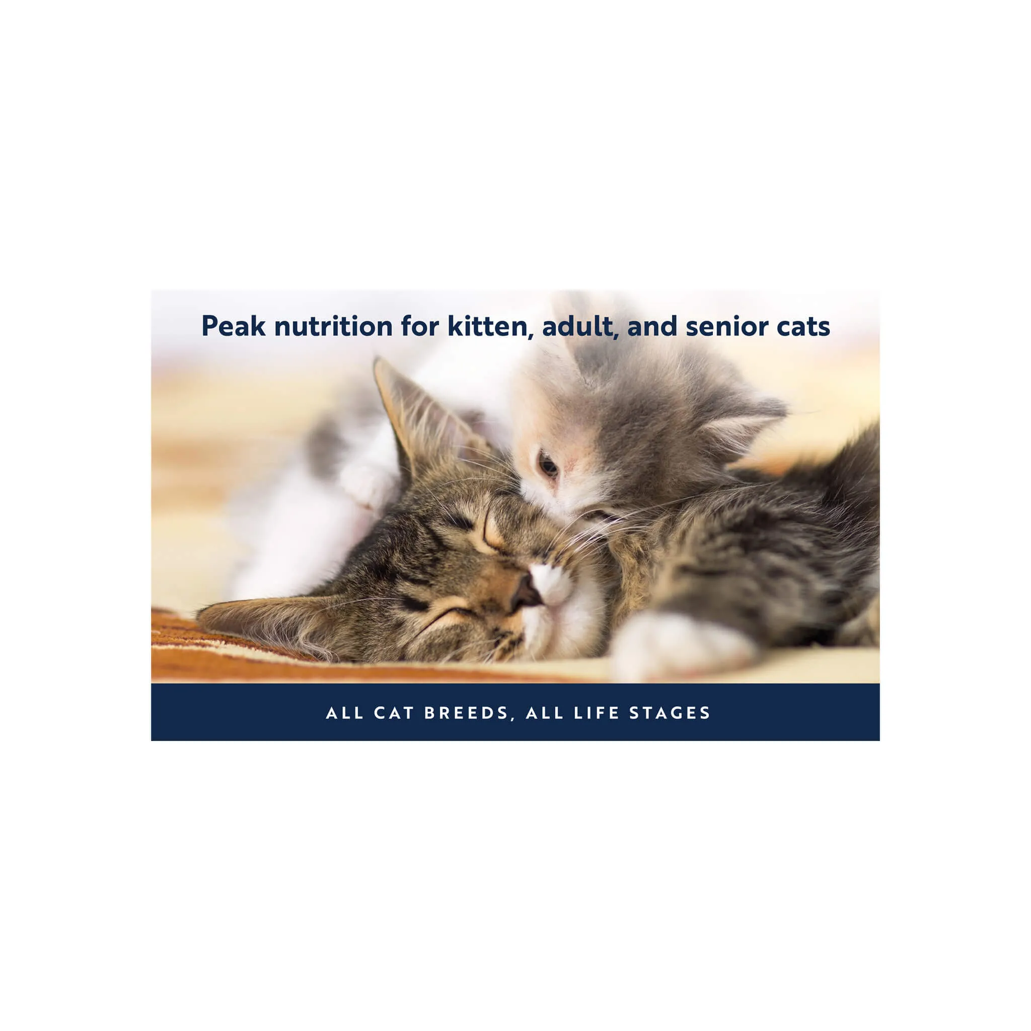 ZiwiPeak Daily Cuisine Grain-Free Air-Dried Cat Food