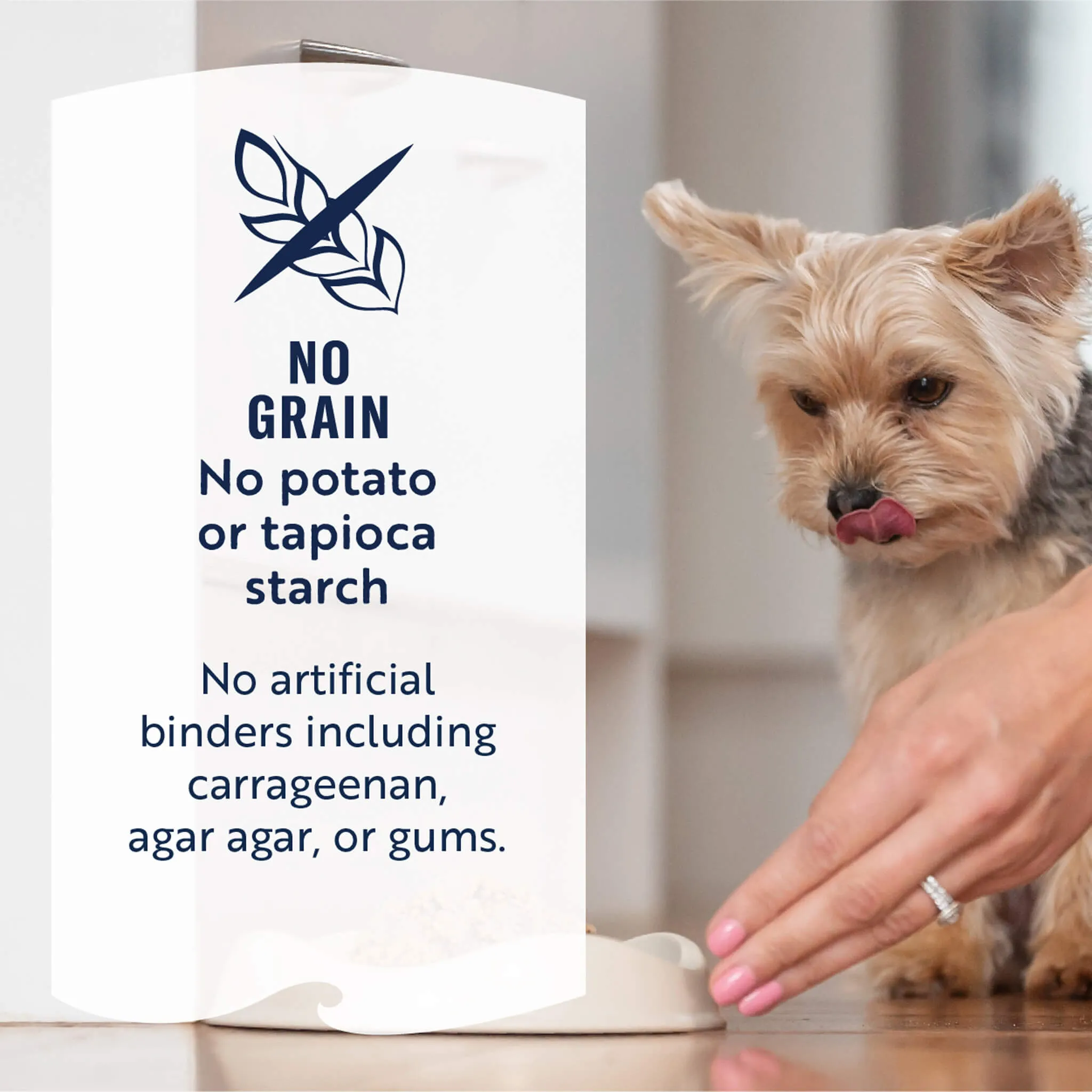 ZiwiPeak Daily Cuisine Grain-Free Canned Dog Food